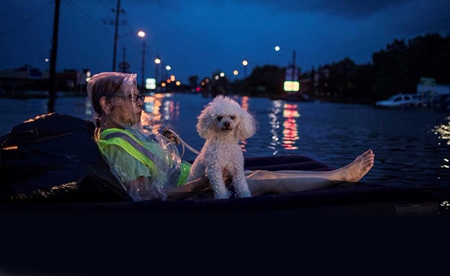 22 Confirmed Dead From Hurricane Harvey, Houston Mayor Imposes Nightly Curfew