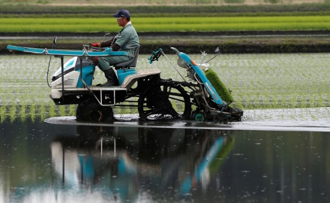 Tech-Savvy Farmers A New Hope For Japan's Shrinking Agriculture Sector