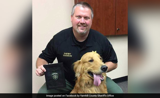 Dog Finds Drugs Worth $85,000 While Digging, Becomes K-9 Narcotics Officer