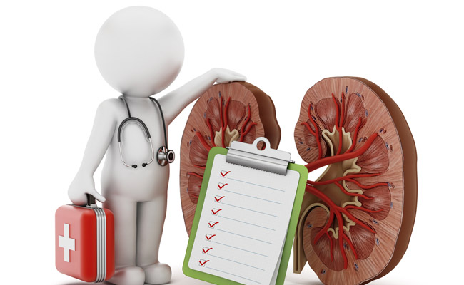 Have You Checked If Your Kidneys Are Working Fine?