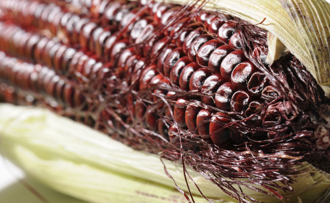 Here's Why You Should Incorporate Purple Coloured Foods In Your Diet