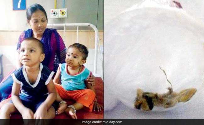 5 Violently Ill In Mumbai After Lizard In Palak Paneer 