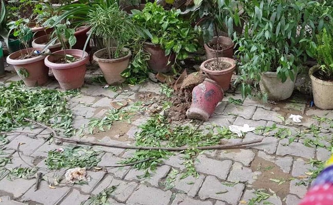 दिल्ली: मणिपुर के पूर्व मंत्री के बेटे की रेस्टोरेंट की छत से गिरकर मौत दिल्ली: मणिपुर के पूर्व मंत्री के बेटे की रेस्टोरेंट की छत से गिरकर मौत