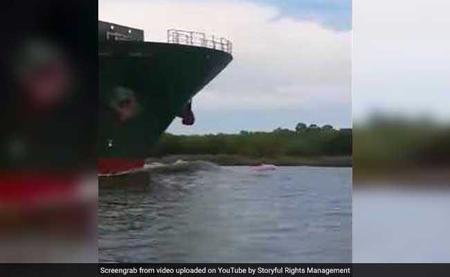 Rare Pink Dolphin Spotted In Louisiana. Watch Video Here