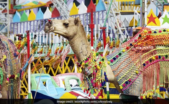 Gogamedi Fair 2017: The Grand Rajasthani Food, Cattle and Handicraft Fair in Honour of Goga Ji Maharaj