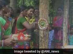 Rakhi 2017: In UP, Jharkhand, People Tie Rakhis To Trees, Pledge To Protect Them