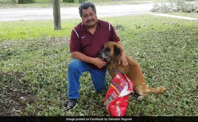 A Photo Of A Dog Carrying A Bag Of Food After A Storm Hit Texas Went Viral - Here's His Story