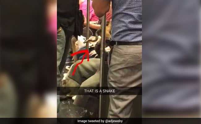 Woman Spots Man Carrying A Snake On Crowded Train. Posts Video On Twitter
