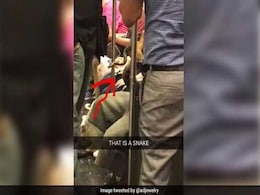 Woman Spots Man Carrying A Snake On Crowded Train. Posts Video On Twitter Woman Spots Man Carrying A Snake On Crowded Train. Posts Video On Twitter
