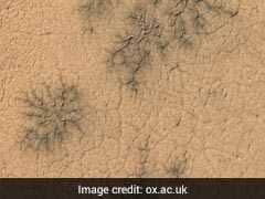 Scientists Discover New Landforms On Mars, Images Show 'Spider' Formations