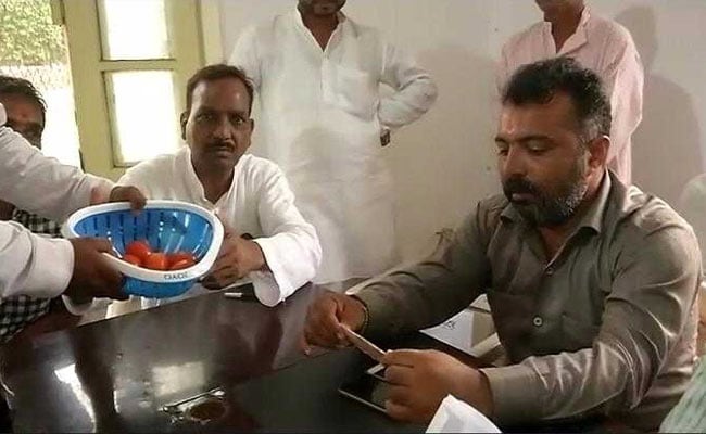 state bank of tomato