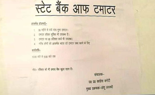 लखनऊ में खुला अनोखा बैंक : यह है 'स्टेट बैंक ऑफ टमाटर', लॉकर में रखिए, लोन पर लीजिए