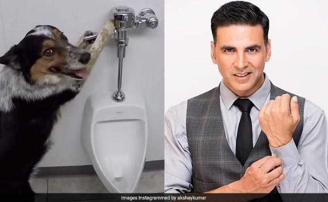 OMG! अक्षय कुमार ने तो कुत्ते को भी दे दी Toilet Training