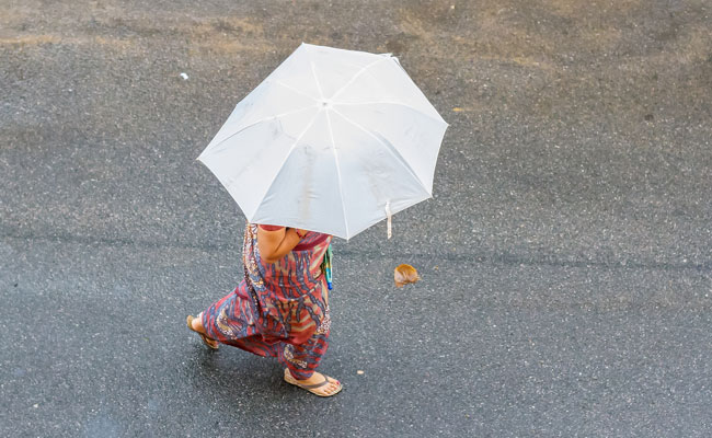 umbrella