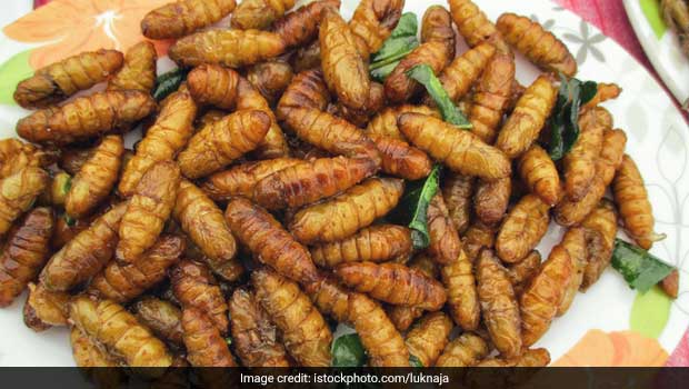 This Will Give You The Creeps: 12 Most Weird Foods People Actually Eat