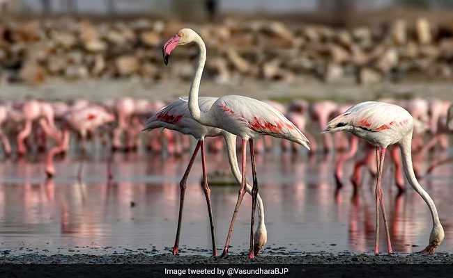 World Photography Day 2017: How Twitter Is Celebrating The Day Of Pictures