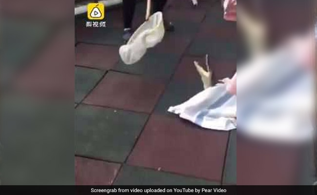 ...?? ???????? ?? ?????? ????? ?? ????? ????? ? ???? ???????, ????? ??? ???? ???