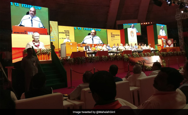 At Opening Speech At Huge BJP Meet, Amit Shah Targets Rahul Gandhi
