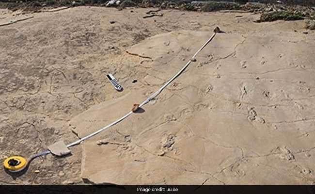 Ancient Footprints Suggest Humans May Have Come From Europe, Not Africa