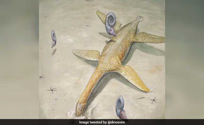 190-Million-Year-Old Long-Necked Sea Monster Identified In Germany