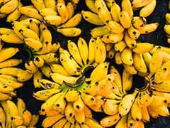 Banana Robusta Meaning In Hindi