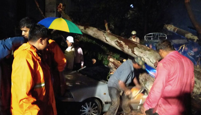 3 Crushed To Death As Tree Falls On Car During Thunderstorm In Bengaluru