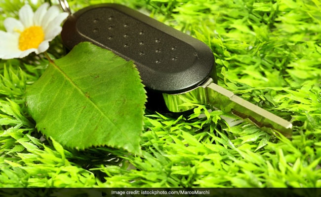 Indian Scientists Make Fuel From Sunlight With Artificial Leaf