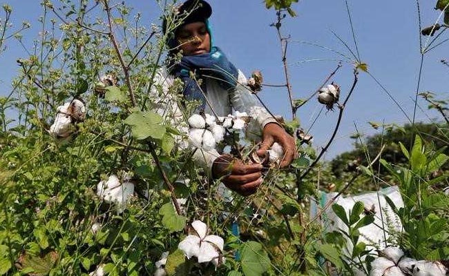 Maharashtra Farmers To Get Loan-Waiver Funds Before Diwali: Minister