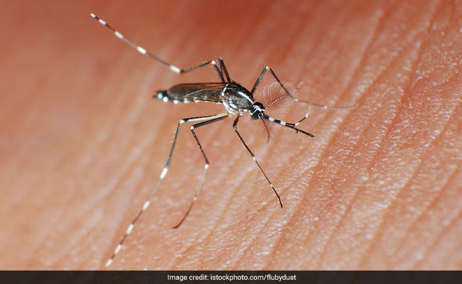 Dengue Death Toll Surges To 9 In Coimbatore: Tips To Prevent Dengue