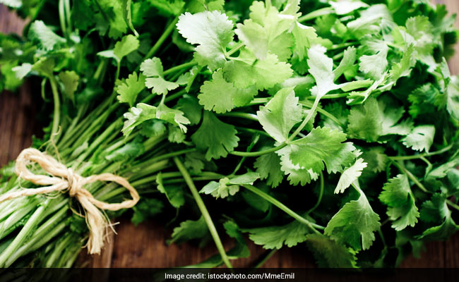 Coriander Water For Weight Loss How To Use The Miracle Potion