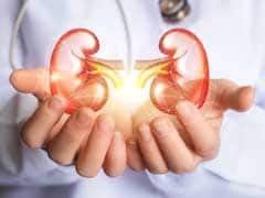 World Kidney Day 2019: 6 Kidney-Friendly Foods You Must Include In Your Diet