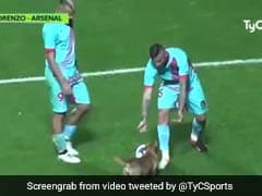 Viral Video: Dog Interrupted Match To Play With Football. No One Seemed To Mind