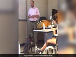 Professor Lets Dog Attend His Class For The Sweetest Reason, Wins Hearts Professor Lets Dog Attend His Class For The Sweetest Reason, Wins Hearts