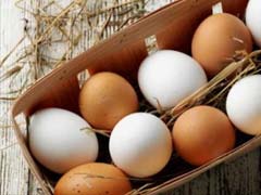 Scientists In Japan Grow Drugs To Fight Cancer In Chicken Eggs