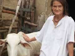 मथुरा में बीमार, त्यागी गई गायों की मददगार बनी जर्मन महिला