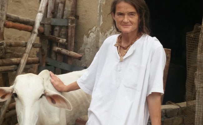 How A 59-Year-Old German Turned Mother To Over 1,000 Sick Cows In Mathura