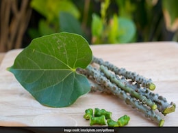 Giloy का ज्यादा सेवन सेहत के लिए बन सकता है मुसीबत, जानें गिलोय खाने के क्या हो सकते हैं नुकसान  Giloy का ज्यादा सेवन सेहत के लिए बन सकता है मुसीबत, जानें गिलोय खाने के क्या हो सकते हैं नुकसान