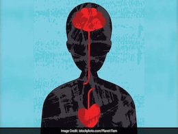 Regular Exercise May Boost Brain Power, Try These Foods Too! Regular Exercise May Boost Brain Power, Try These Foods Too!