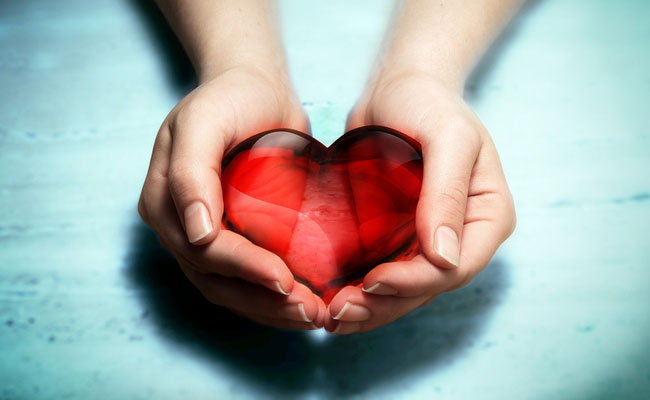 Stem Cells Can Create An Adult-Like Human Heart Muscle: 5 Healthy Foods For Your Heart