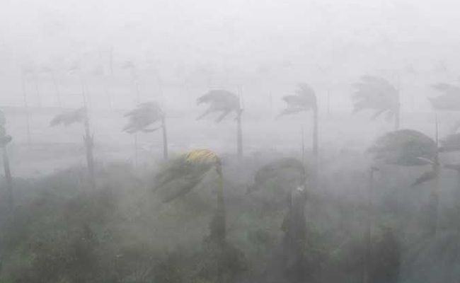 White House Social Media Chief Tweets Wrong Hurricane Video, Deletes