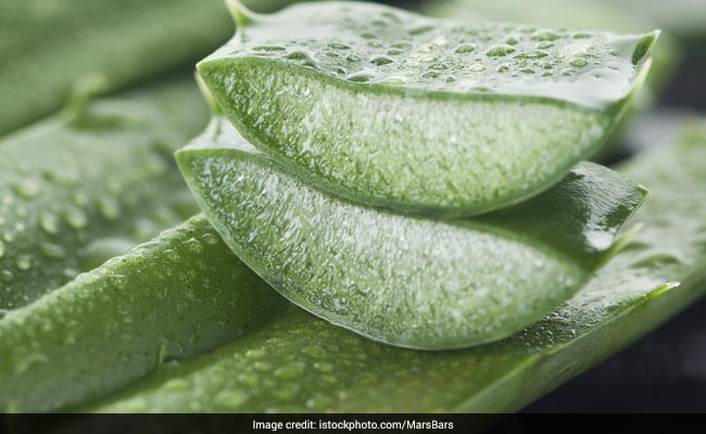 Weight Loss: How To Use Aloe Vera To Lose Weight