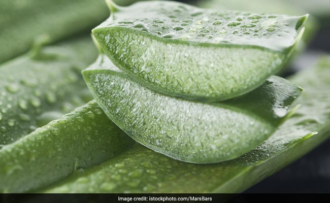 Weight Loss How To Use Aloe Vera To Lose Weight