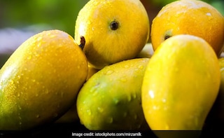 12 Interesting Mango Facts Even The Non Mango Lovers Would Enjoy!