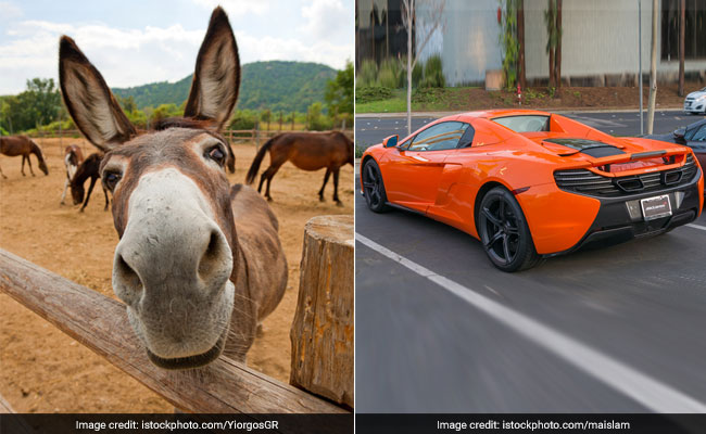 Hungry Donkey Bites Into Carrot-Coloured McLaren, Causes $6,800 In Damage