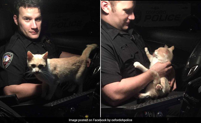 The Cat That Adopted An Officer: It Jumped Into Cop Car, Refused To Leave