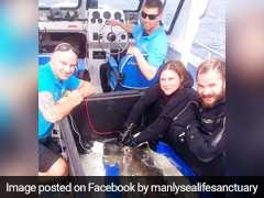 Rescued Great White Shark, Nicknamed 'Fluffy', Released Into Ocean