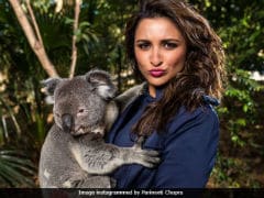 Parineeti Chopra Trolled For Pic With Koala Is Everything That's Wrong With Social Media