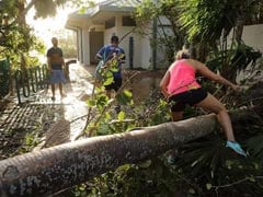 About 5.8 Million Lose Power From Irma: US State Officials