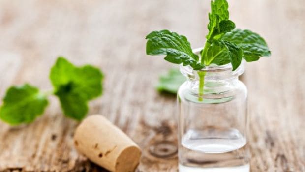 8 Benefits of Peppermint Tea: From Inducing Sleep to Aiding Weight