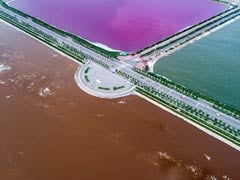 Pink Is The New Colour Of China's 'Dead Sea'